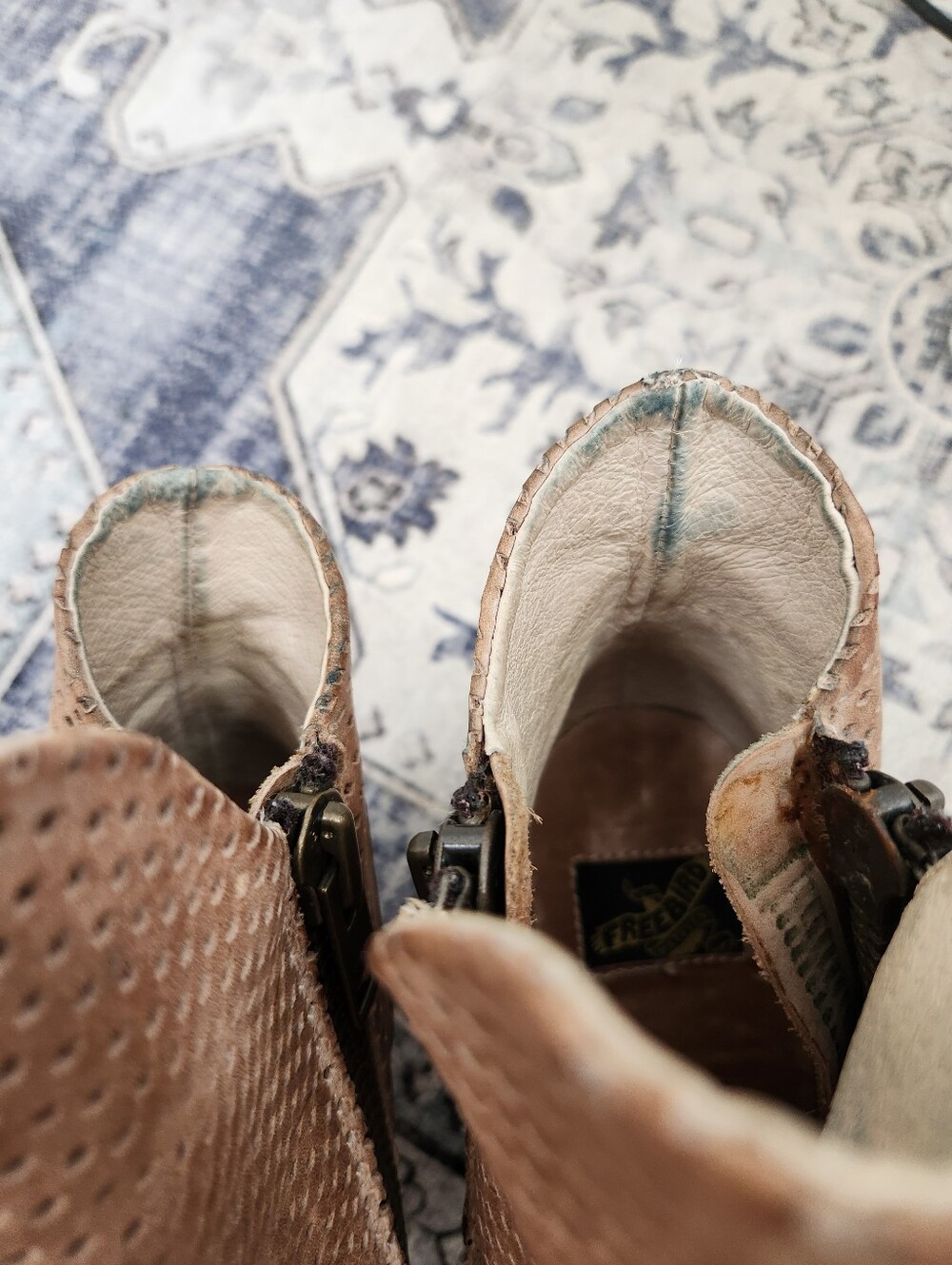 Freebird by Steven Tan Perforated Leather Ankle Booties - Picture 5 of 8